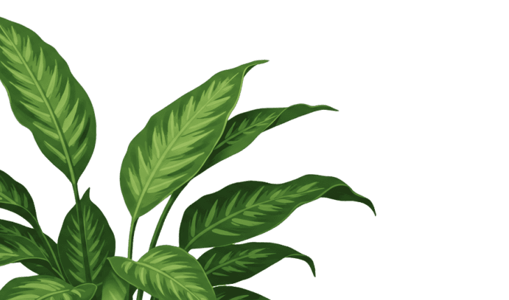 leaf left