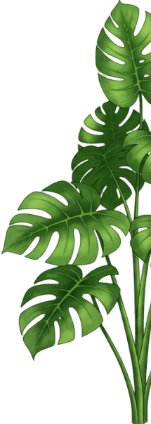 leaf right